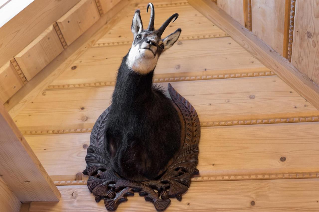 Tatravilla Zakopane Buitenkant foto